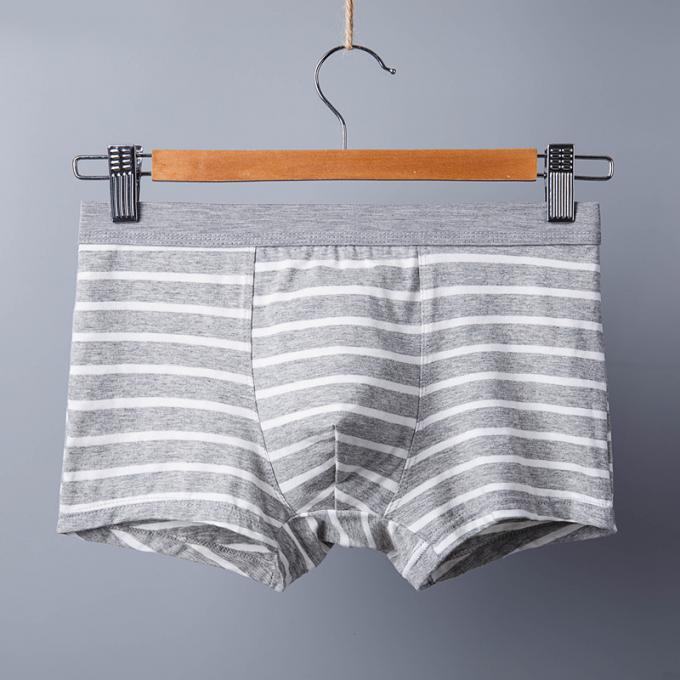 XXXL 165 كجم 95 كجم ملابس داخلية قطنية للرجال ملابس داخلية مثيرة من القطن الخالص للبالغين شريط رياضي 5